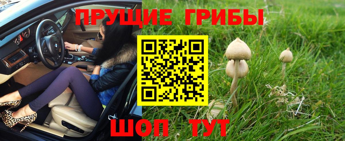 Галлюциногенные грибы мицелий Семилуки